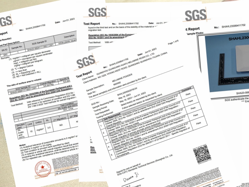 2023 SGS EU standard