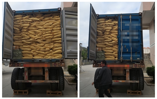 Huafu Chemical Melamine Molding Powder New Shipment